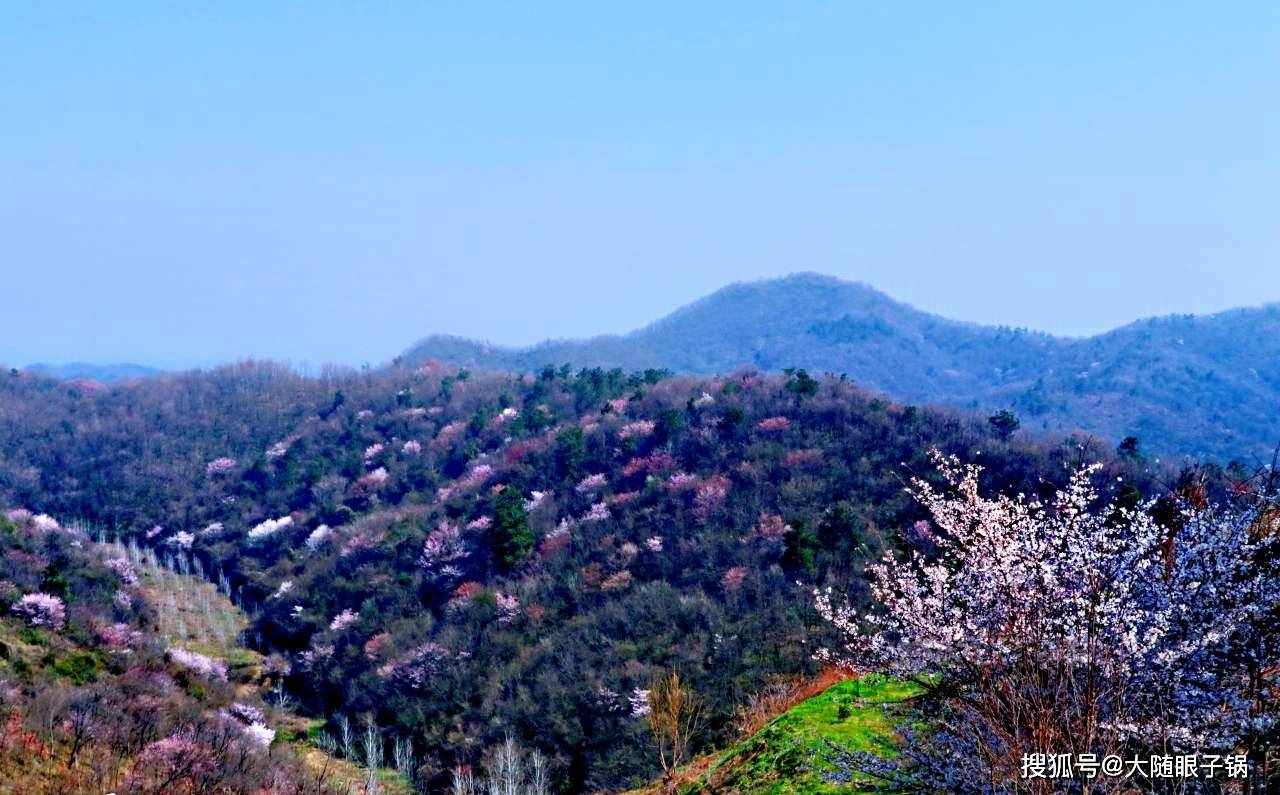 随州市随县柳林镇十九山樱桃沟早春风光无限好