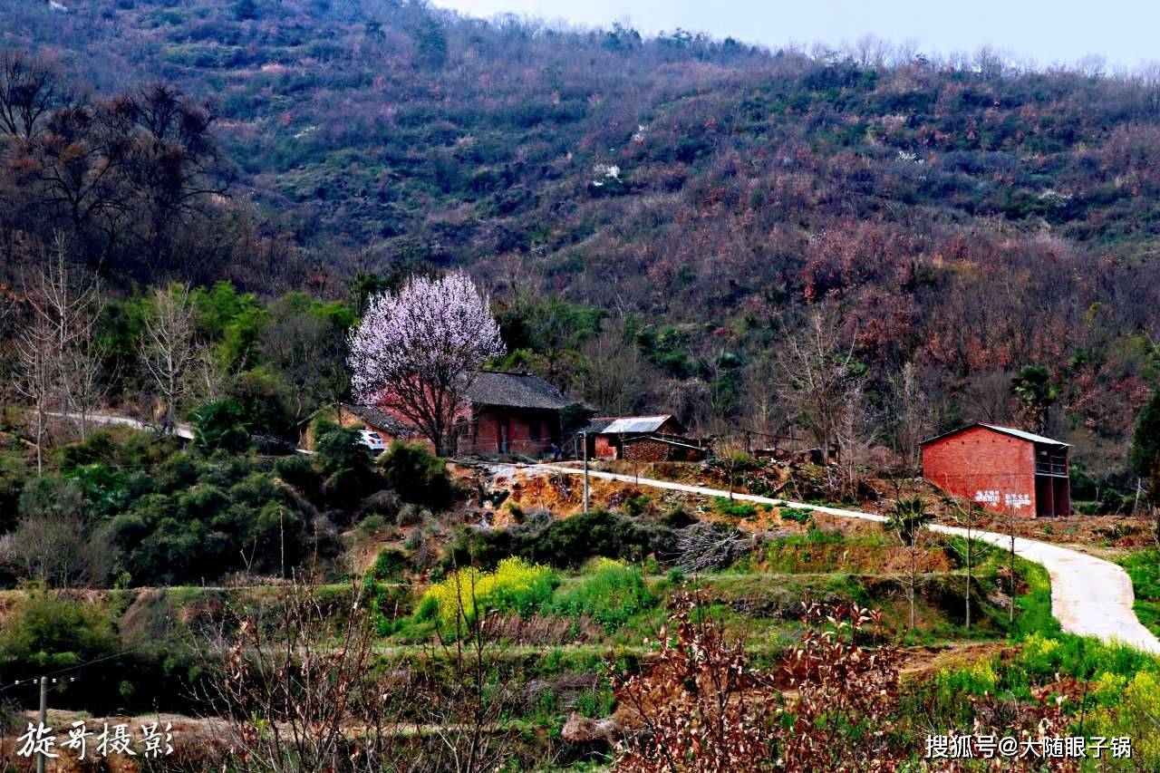 随州市随县柳林镇十九山樱桃沟早春风光无限好