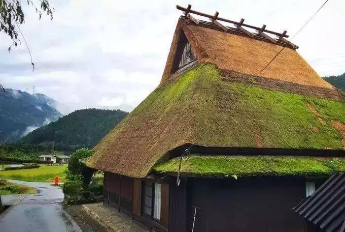 美而不土的日本茅草屋之乡 - 美山町