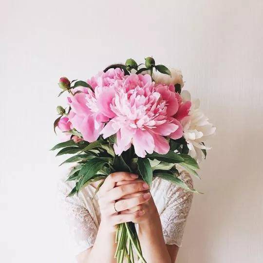 8女神节该送她什么花?送花指南来啦