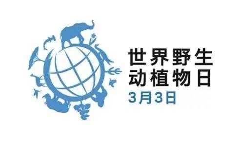 世界野生动植物日,维护人类与地球