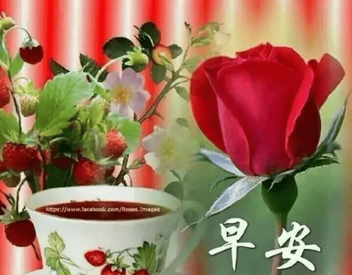 21年早上好最新图片,中老年早上好最新图片 2o21年11月5日早上好_11月5日早上好图片