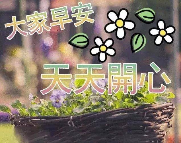 正月二十三早晨好问候祝福语带动图 漂亮的鲜花早上好
