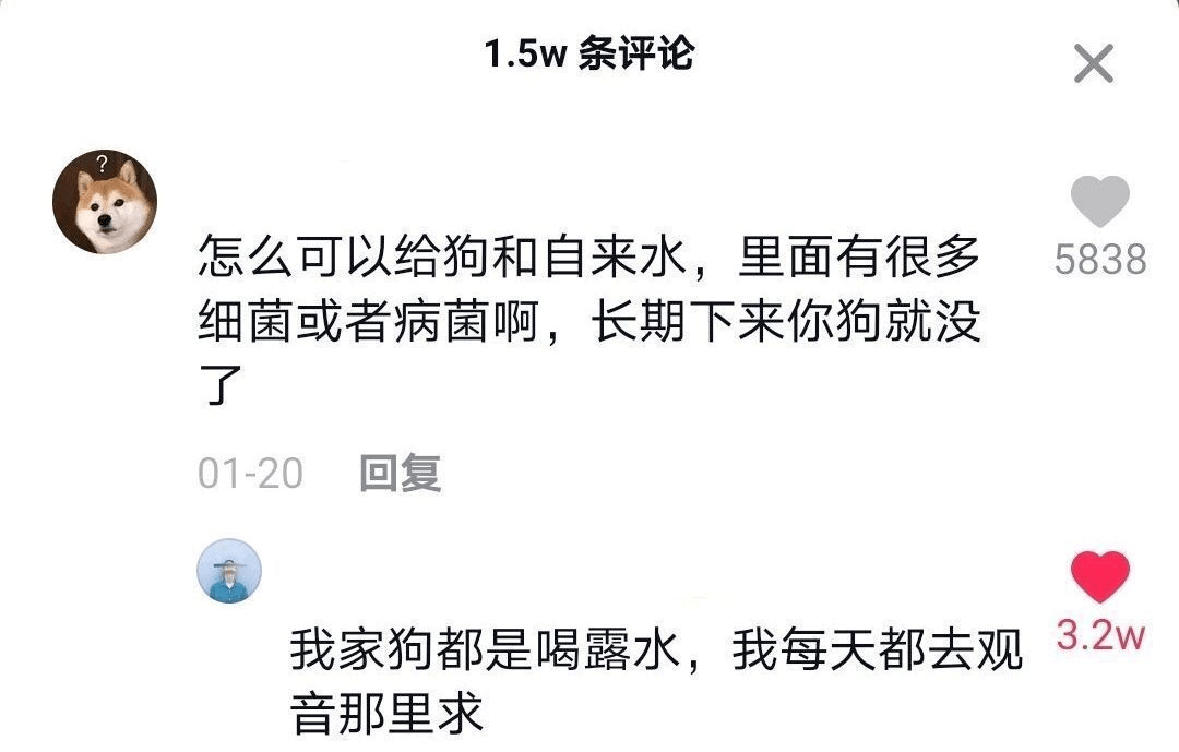 抖音评论区神回复第二弹