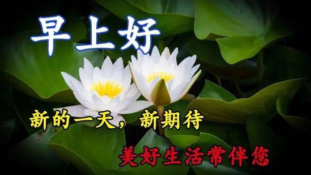 原创最新早安正能量语录问候图片 温馨励志早安心语集锦