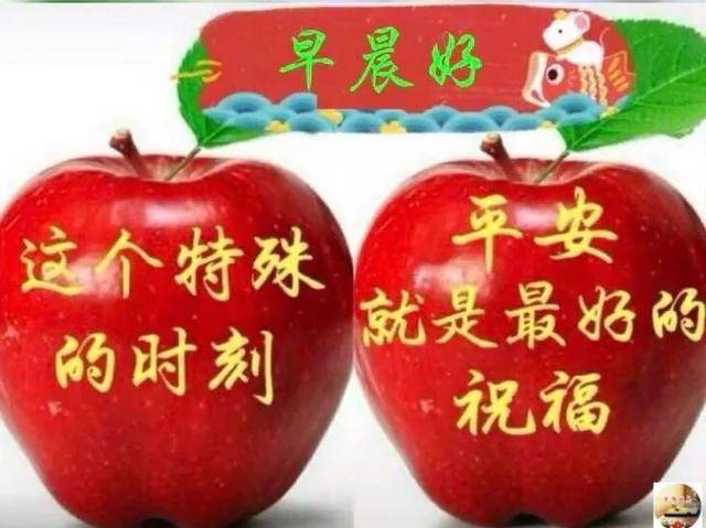 最美早上好表情动图 早上好温馨问候语