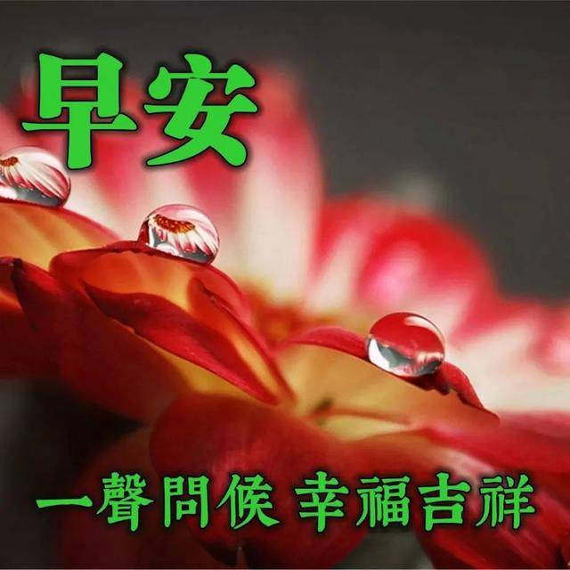 早上好问候祝福图片精选 温馨早安问候祝福语图片带字