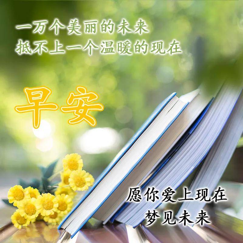 早上好问候语图片带字 创意免打字早上好图片带祝福语