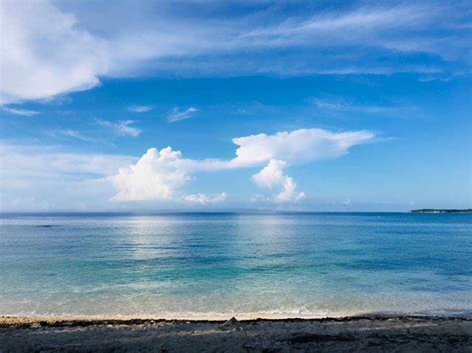 麦家人生海海认清了生活真相后依然热爱生活