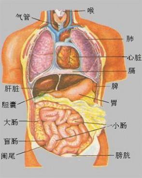 春天很需要呵护的地方,不是肝也不是肾,而是这个部位!