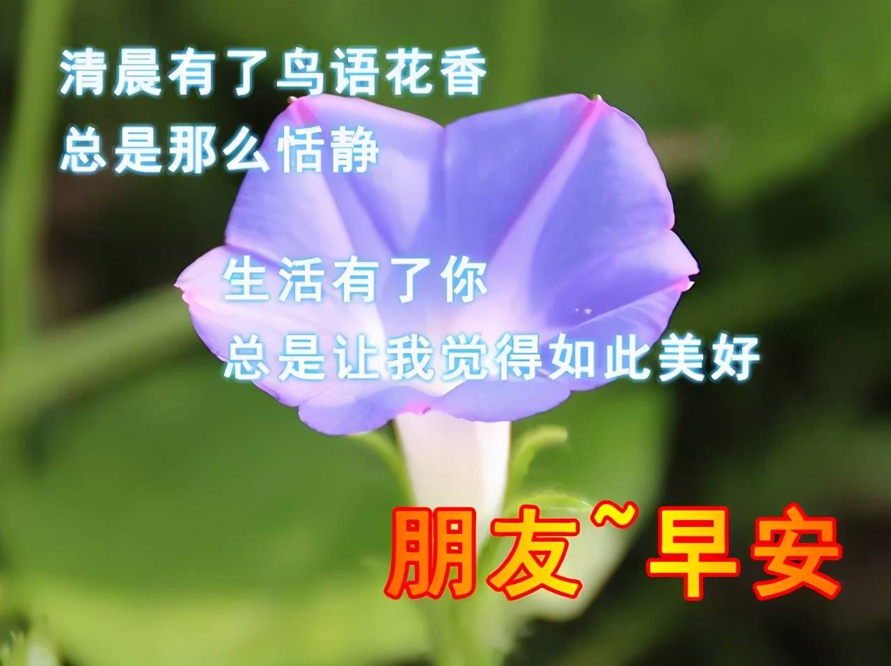 原创清晨早上好温馨问候早上好快乐问候祝福短信大全