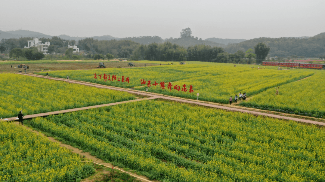 走!去黄埔醉美网红村,看无人机春耕