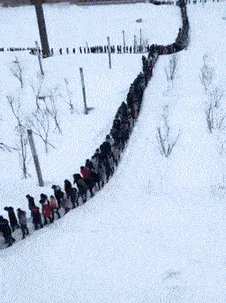 原创搞笑gif趣图学校下大雪了同学们去上课像不像迁徙中的企鹅