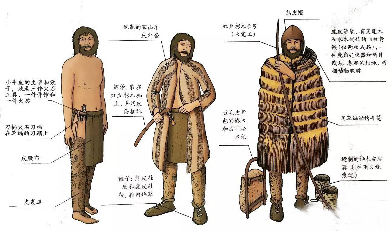 5400年前的奥兹冰人他的职业是什么是怎么死的专家给出答案