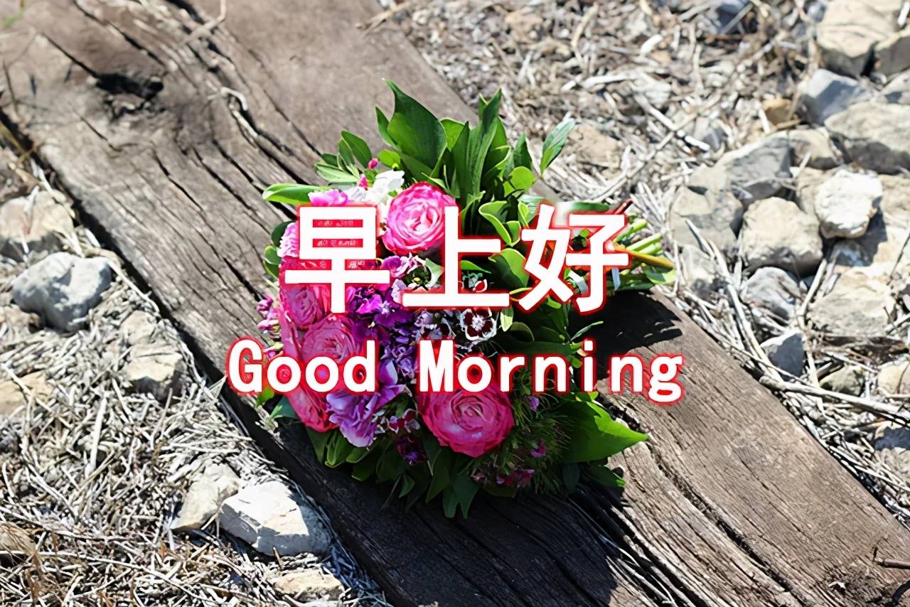清晨早上好鲜花动态图片大全 早上好祝福表情
