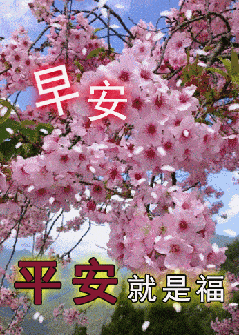 早安问候祝福语 特漂亮的早上好问候动态鲜花图片