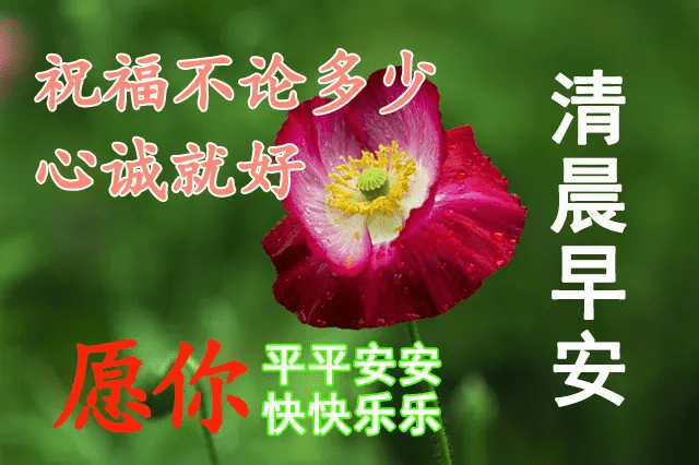 早安问候祝福语动态表情图片,最美早安问候温馨图片带