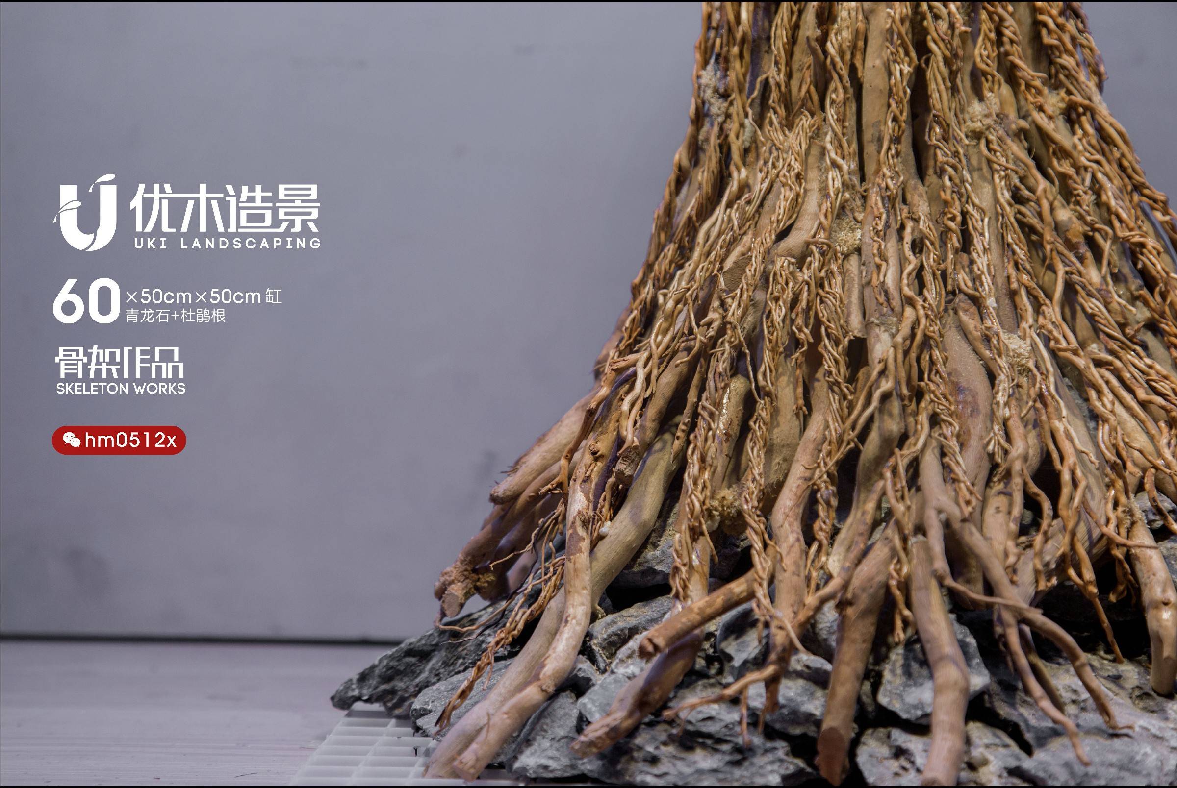 这个生命之树的草缸造景骨架有点高