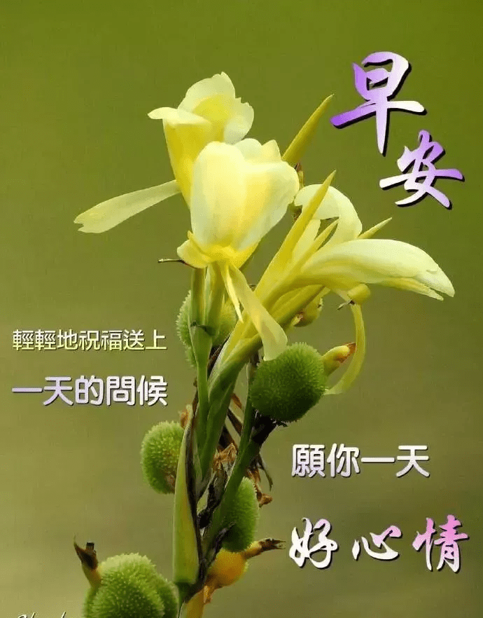 最新早上好问候语,早上好表情动态图和祝福句子