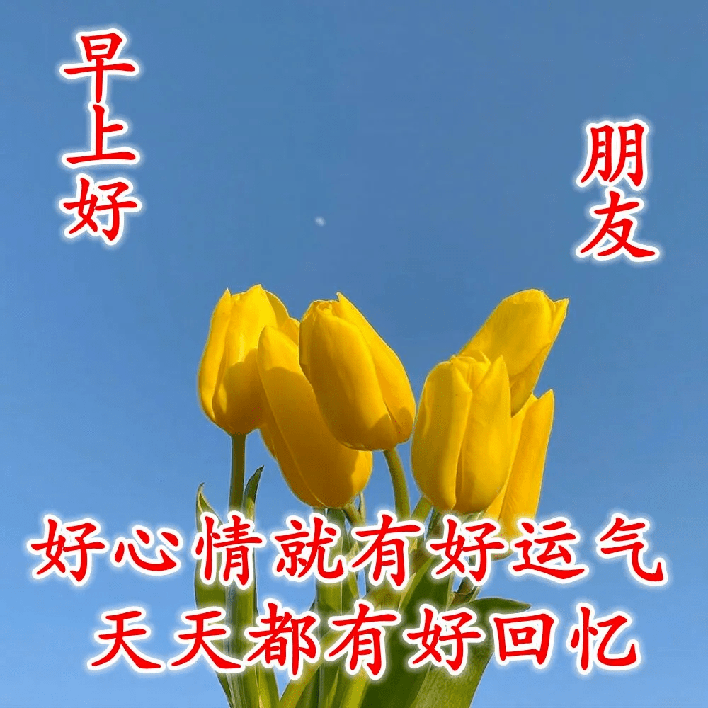 早晨好祝福表情图片合集,早晨问候语朋友圈温暖句子