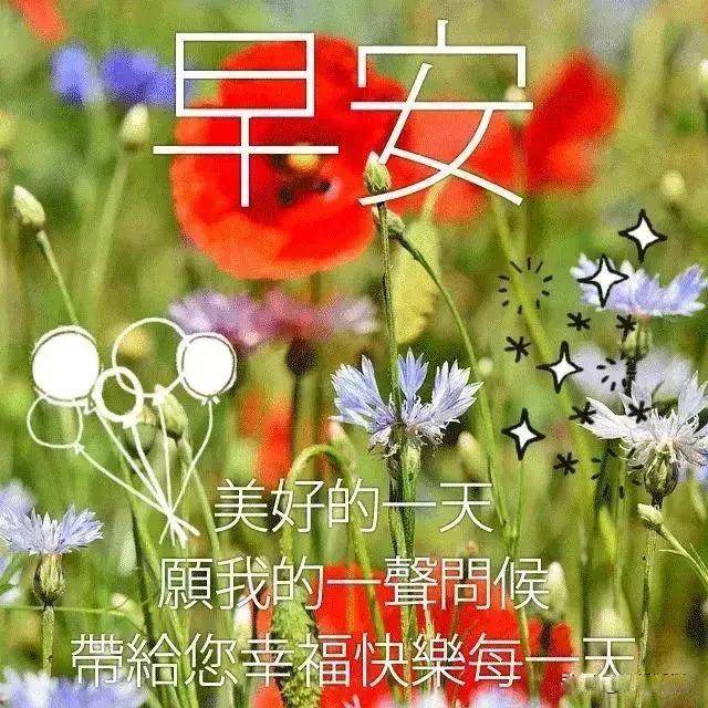 早上好问候语温馨句子 早安阳光正能量图带字大全_祝福
