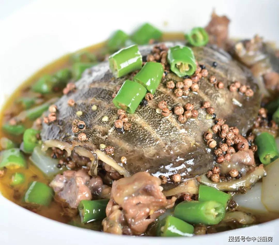 青椒凉粉甲鱼