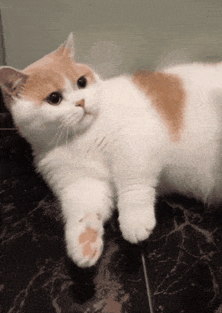 320_450 竖版 竖屏