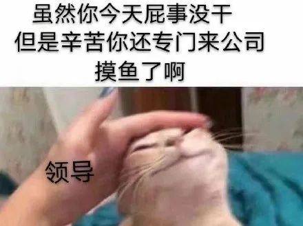 表情包|摸鱼人 我好快乐 因为我带薪拉屎了