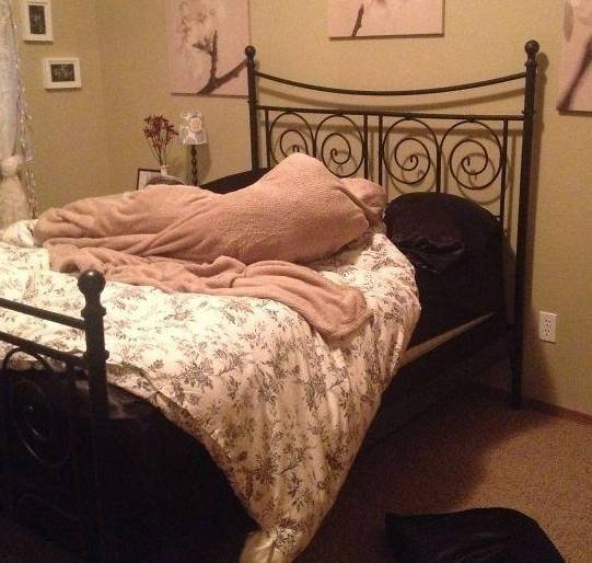 图片七: 走进我的房间,看到我的枕头和毯子像这样乱七八糟的放在那,我