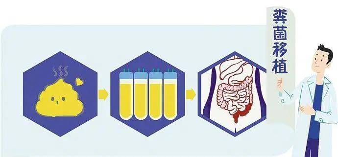 从粪菌移植到菌群移植,乐好生物倡导口服式菌群移植