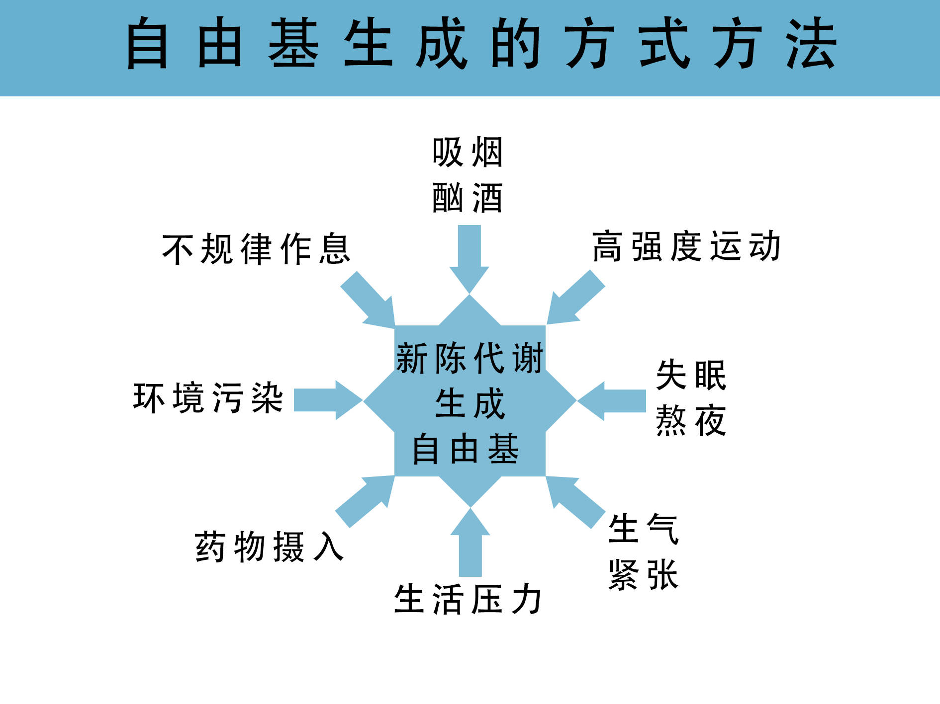 什么是氧自由基?生物秘码带你一起认识它