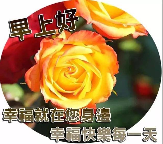 适合发朋友圈早安祝福语 温馨漂亮早上好问候图带字