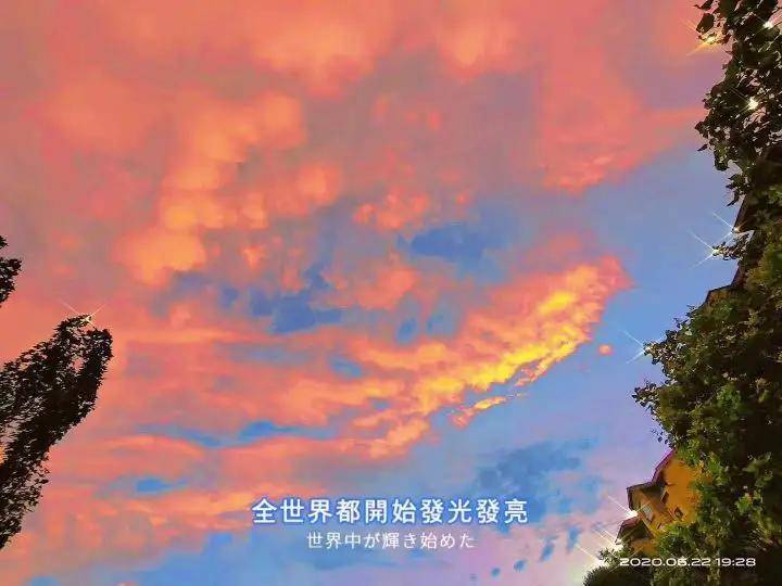 致远方的你