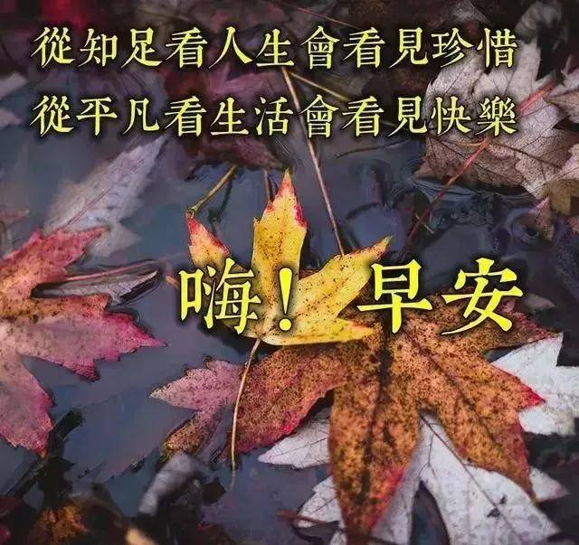 原创早上好温馨问候图片 早上好早安动态表情包