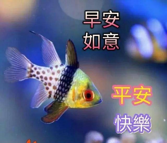 8张漂亮的春天早上好早安图片带字推荐,免打字精致走心的春天早安图片