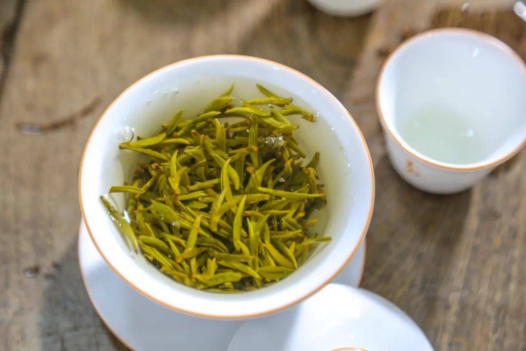 春风里等春茶,你是不是在等平阳的"它"?_黄汤茶