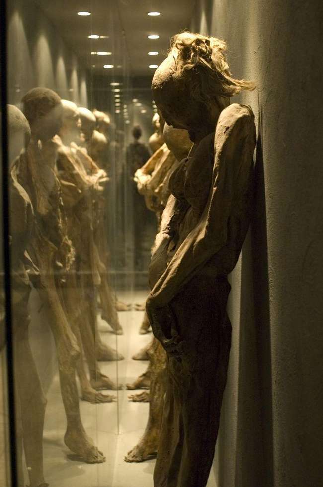原创最恐怖的人体博物馆保存着111具怪异的尖叫木乃伊