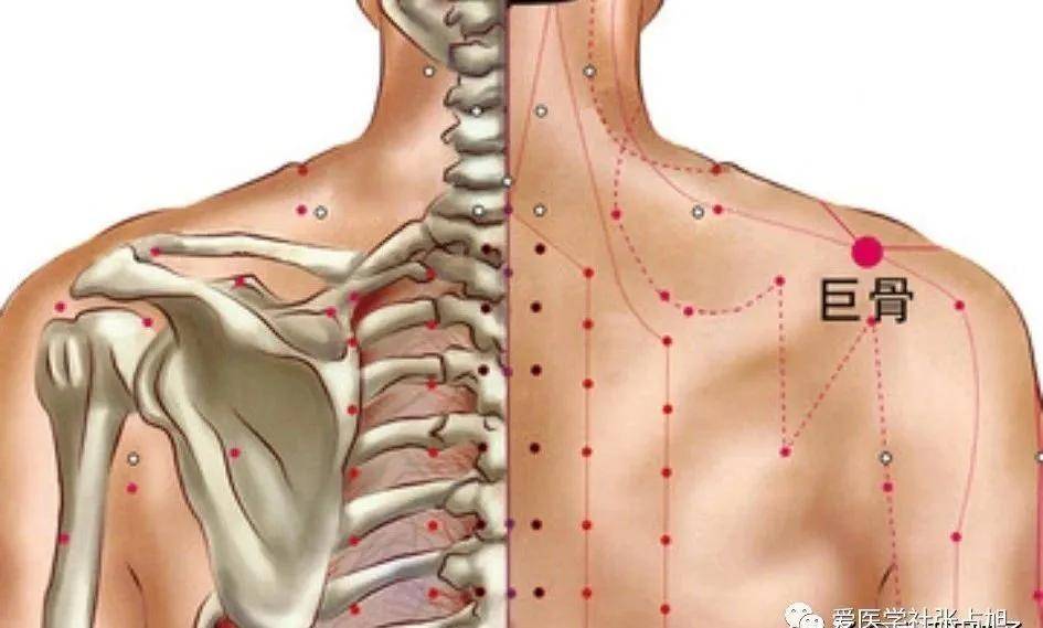 【定位】:在肩胛区,锁骨肩峰端与肩胛岗之间的凹陷中.
