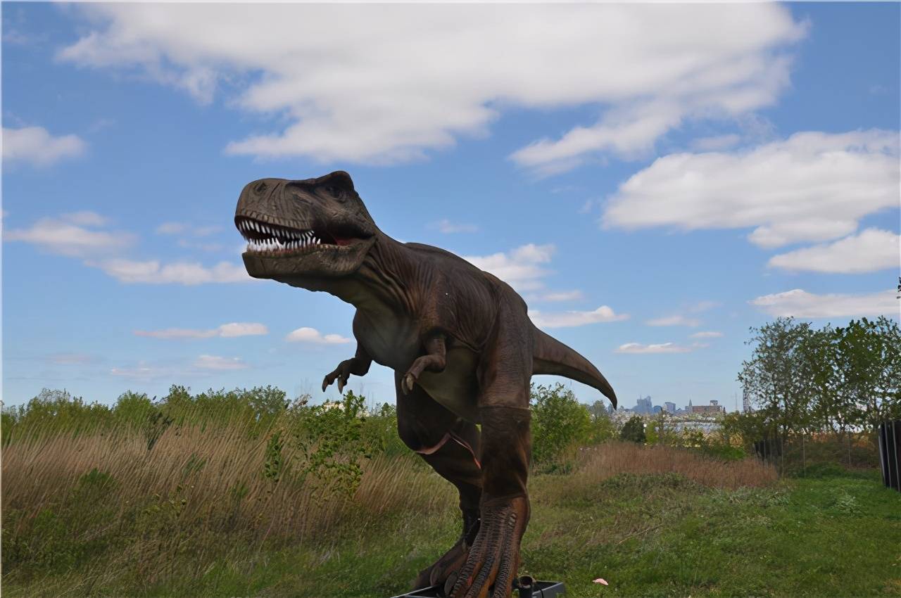 联创文化艺术制作的仿真恐龙为美国动物公园增添了一味原始气息