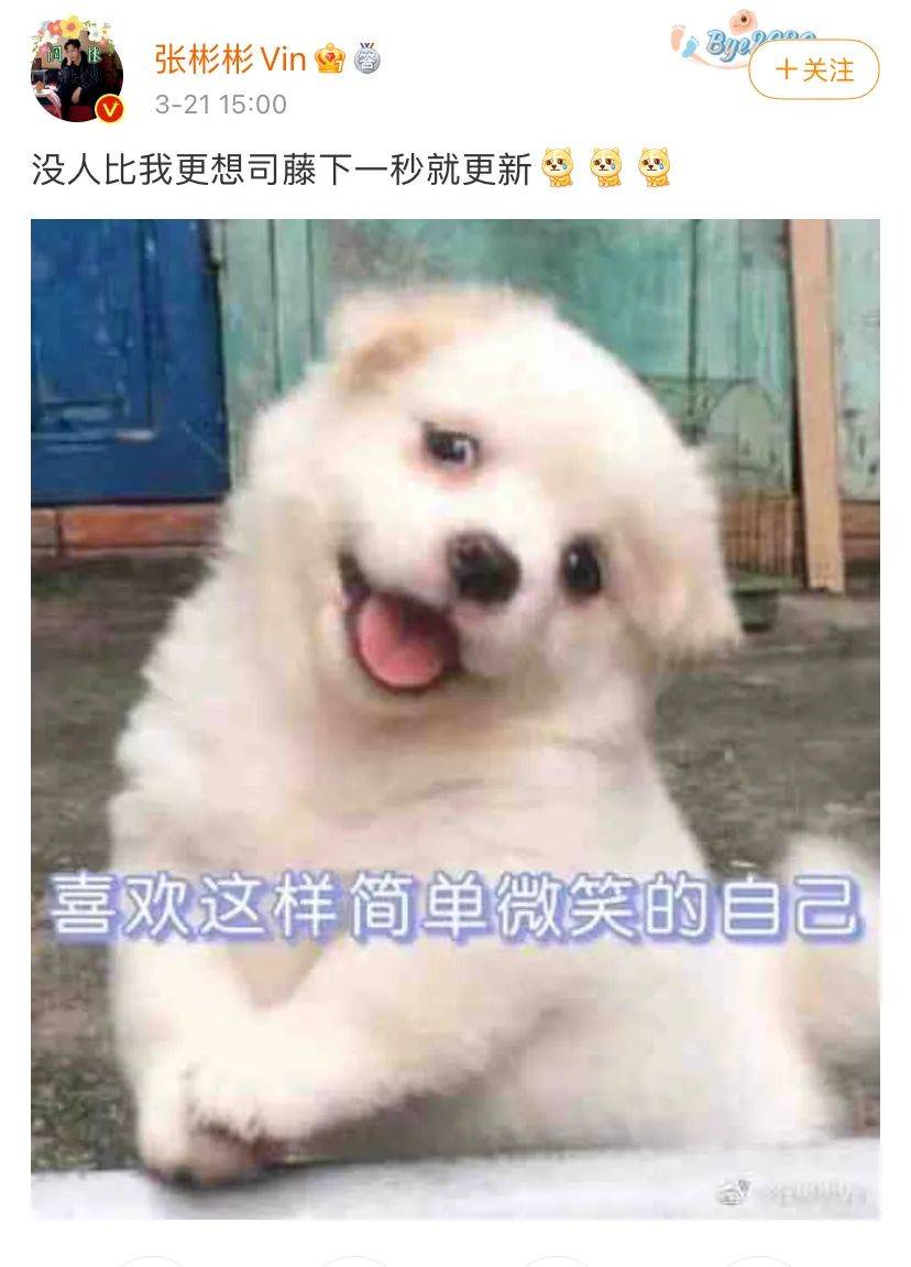 有谁不想要"大狗狗"呢?这样的秦放你值得拥有:《司藤》绝了!