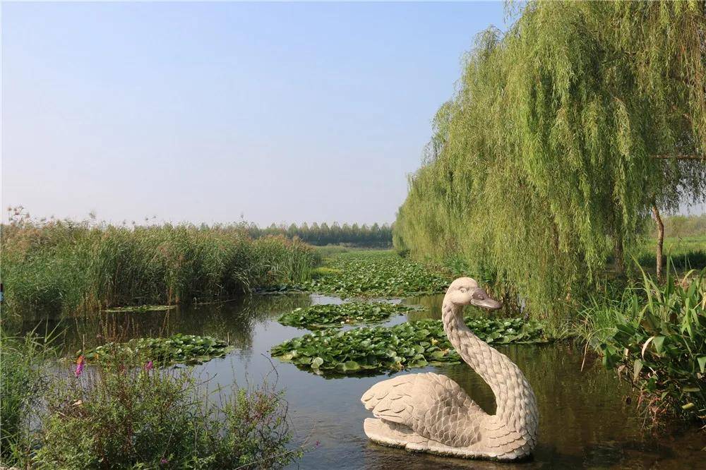 踏春济宁太白湖景区赏春攻略