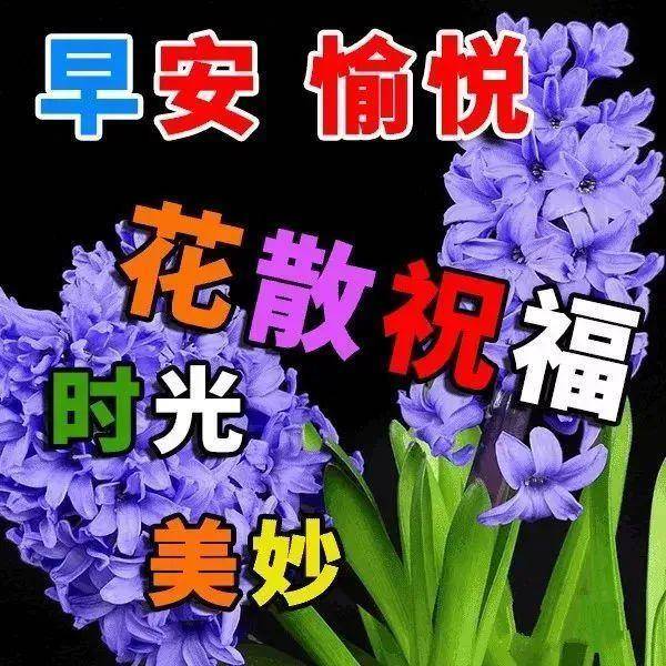 最新版微信早上好祝福图片大全 微信春天早安问候语配