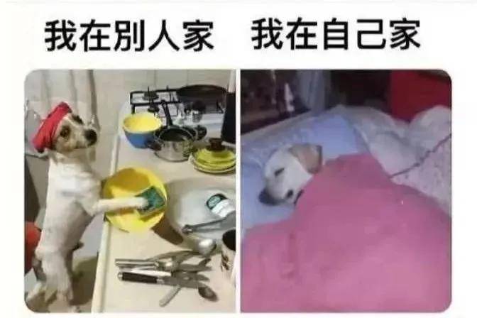 搞笑图片集确实是人间真实