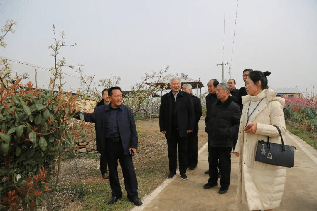 正是踏青赏花时,近日,社旗县文联带着诗词学会会员们来到泌阳马谷田镇