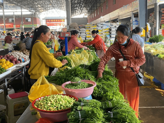 云南澜沧美味野菜上市02迎来舌尖上的春天