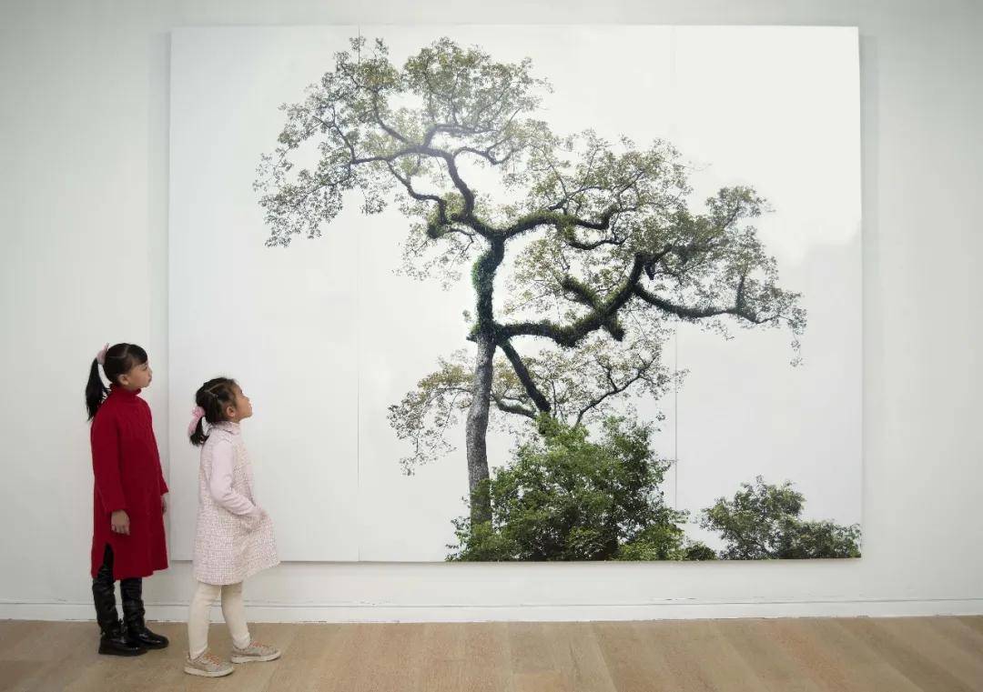 当代艺术家李季的大型摄影展树呈现36幅极具自然之力的作品