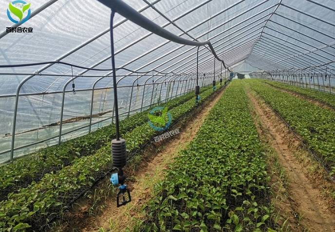 浅谈水肥一体机在大棚蔬菜种植中的应用_灌溉