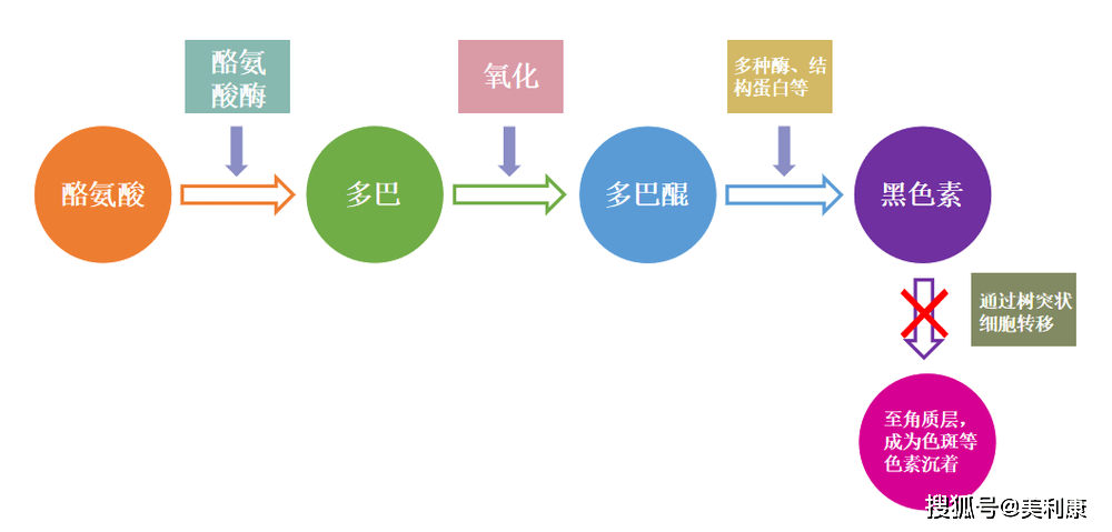 它可以加速细胞的新陈代谢,从而促进那些含有黑色素的角质细胞脱落