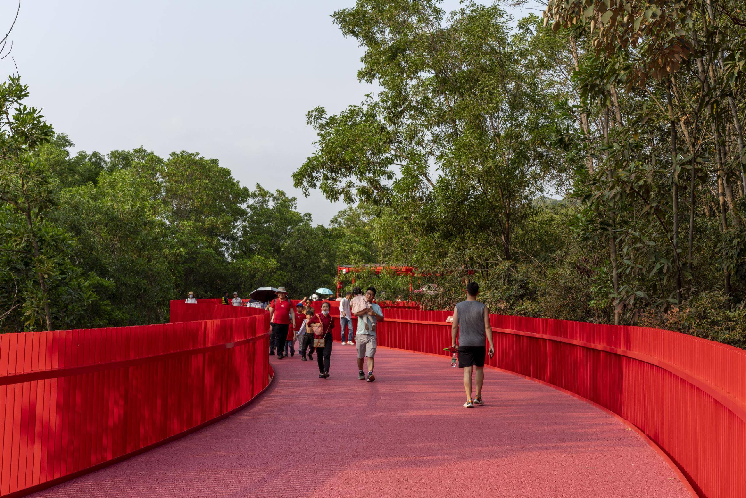 深圳新晋网红——光明虹桥公园,真的很红!