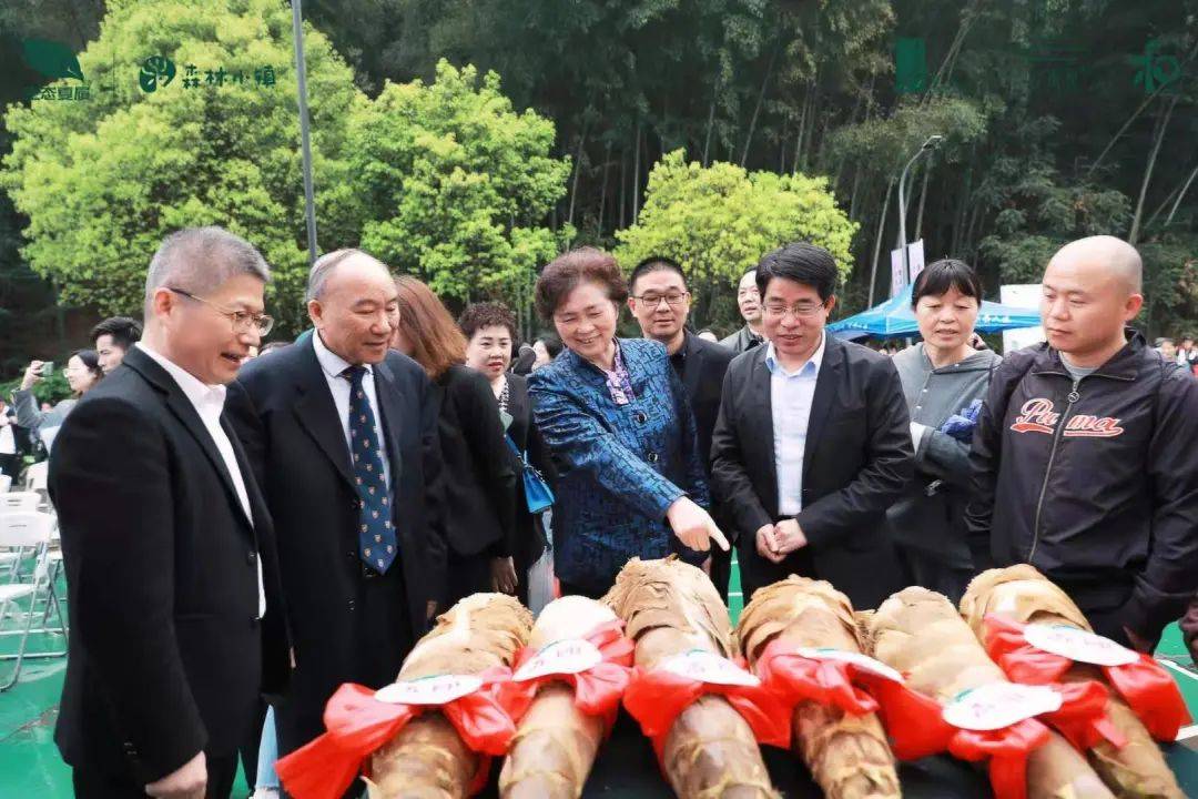 夏履乡贤李兰娟院士倾情代言绍兴第三届春笋节盛大启幕